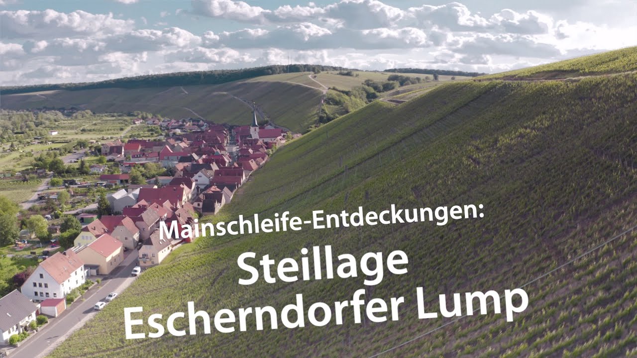 Mainschleife Entdeckungen: Steillage Escherndorfer Lump