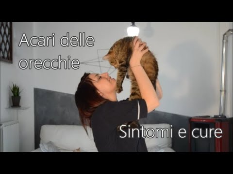 Video: Quale Farmaco Contro Gli Acari Dell'orecchio Scegliere Per I Gattini