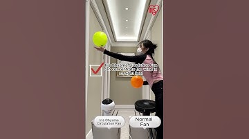 Iris Ohyama Circulation Fan 🍃 or Normal Fan 💨 , which one circulates air more stable? 🤔#shorts