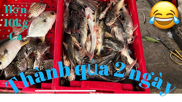 Câu cá và săn bắt rừng ngập mặn cần giờ.Fishing and hunting in mangroves takes hours. day 2