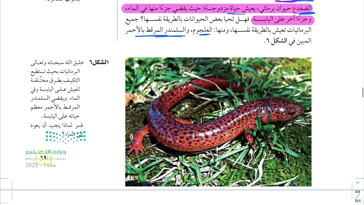 الحبليات ومجموعاتها ( الجزء الثاني ) علوم اول متوسط 1444