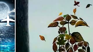 10 Tane Efsane Kapak Fotoğrafı Mini Movesi.