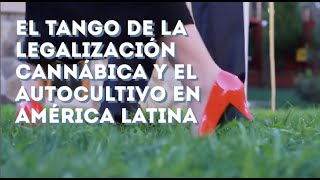 Madres, presidentes y cartas abiertas: el tango de la legalización cannábica y el autocultivo