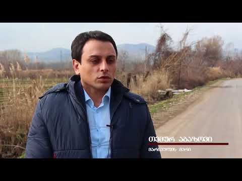 მერმა სოფელ მარადისში რეაბილიტირებული გზა მოინახულა (Temur Abazov)