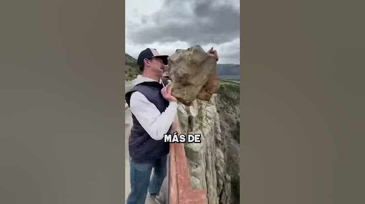 Este tipo arrojó una piedra desde un puente ❤️