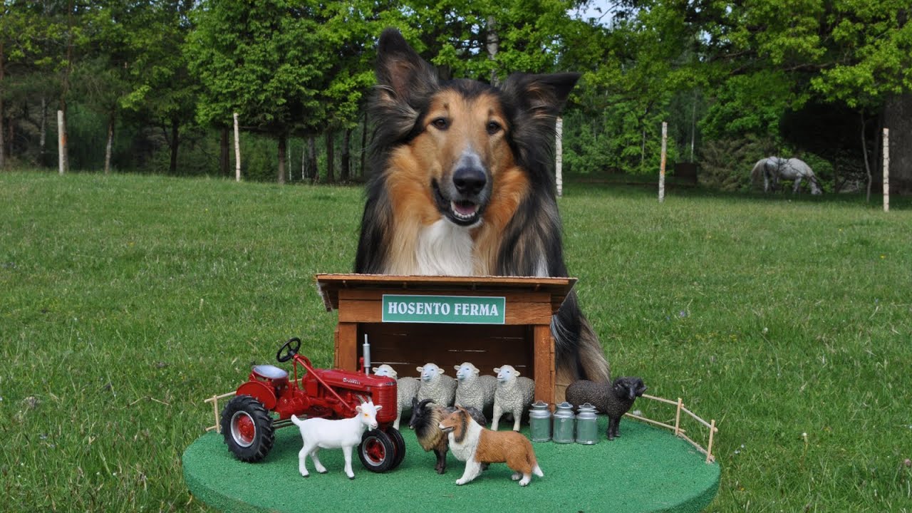 Hosento fermas ievads / Hosento's farm opening