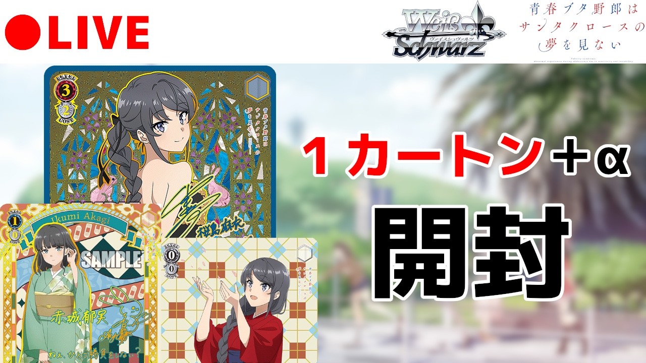 ヴァイスシュヴァルツ 『青春ブタ野郎』シリーズ　青ブタ　カートン ヴァイス】青ブタ新弾！ 麻衣さんABRを狙って1カートン(24BOX)+α開封し