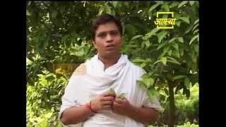 Ayurvedic use Indian Bay Leaf (Tez Patta)
