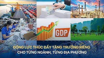 ĐỘNG LỰC THÚC ĐẨY TĂNG TRƯỞNG RIÊNG CHO TỪNG NGÀNH, TỪNG ĐỊA PHƯƠNG | VTV INDEX
