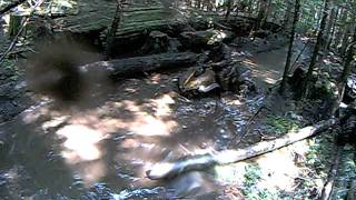 stave loop