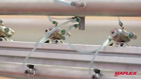 Hestia Line - Away from home