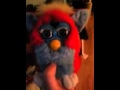 Furby