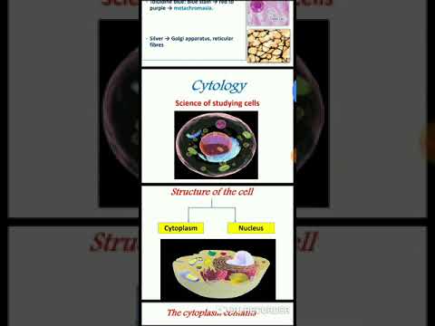 هستولوجي علم الانسجه المحاضره الاولي   1