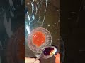 spaghetti recipe