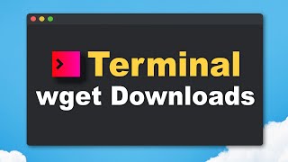 Komplette Website mit einem Befehl herunterladen | MacOS / Linux Terminal | Einfach, deutsch