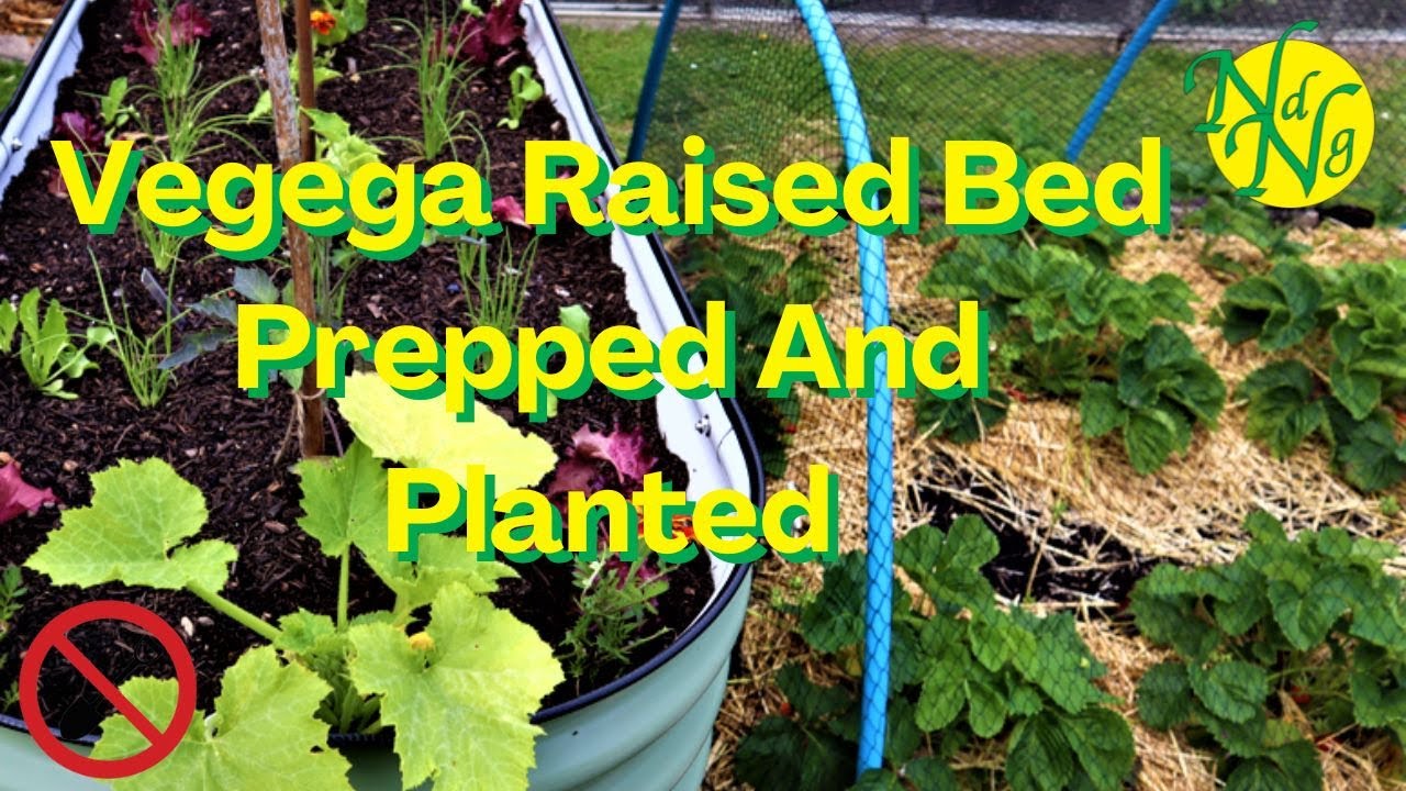 How To Fill Your Raised Bed For Planting: The No Dig method - YouTube