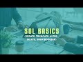 SQL Basics (update, truncate, alter, delete, drop)