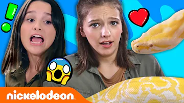 Annie LeBlanc & Jayden Bartels Wrestle a Giant Snake! 🐍 Expert Attempters: Ep. 1 | Nick