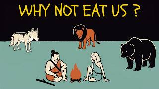 Why Don't Wild Animals Eat Sleeping Humans