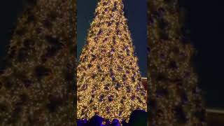Christmas light countdown in Toronto. Click on “created from  @onelazydonut ” to watch full video
