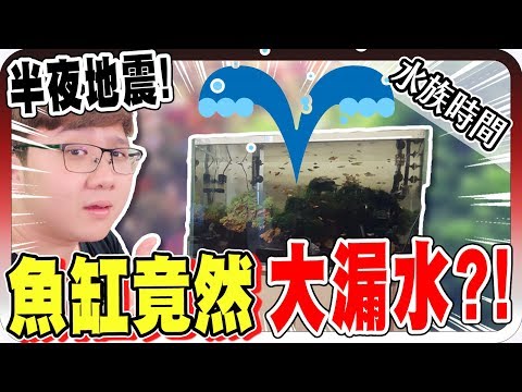 魚缸竟然大漏水！地震來襲魚都活著嗎？！｜水族時間【黑羽】