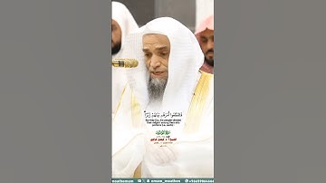 يا أيها الرسل كلوا من الطيبات_سورة المؤمنون_من صلاة المغرب 15 رمضان 1446هـ_الشيخ أ.د. فيصل غزاوي