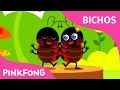 La Mariquita | Bichos | Pinkfong Canciones Infantiles