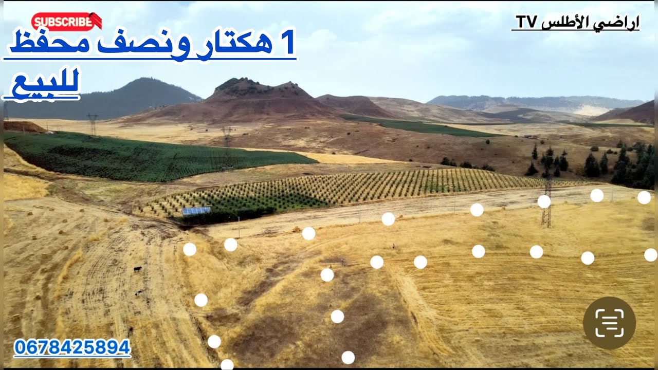 ارض فلاحية محفظة للبيع هكتار ونصف على بعد 80 متر من الطريق  الماء والكهرباء تمن البيع 45 مليون 