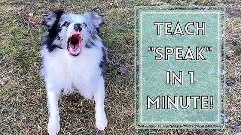 How to Teach Your Dog to "SPEAK" in 1 MINUTE (bark on command!)