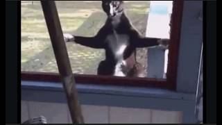 Simply Coding For Newbies Part 4
