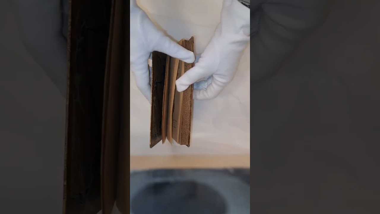 Renán, Ernesto (1900?) Marco Aurelio y el fin del mundo antiguo. F. SEMPRE Y COMPAÑÍA, EDITORES.