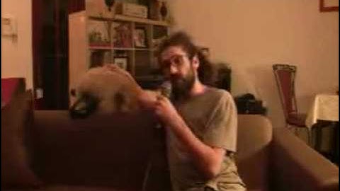 The Operatives Gaslamp Killer Oz/NZ tour