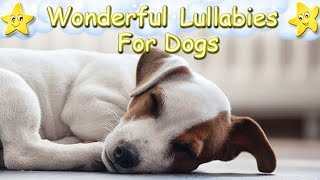 Relaxing Sleep Music For Dogs And Puppies ♫ Effectively Calm Your Dog ♥  Dog Music