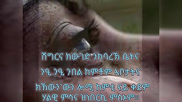 Eritrean orthodox tewahdo mezmur Afdege semay(ኣፍደገ ሰማይ)