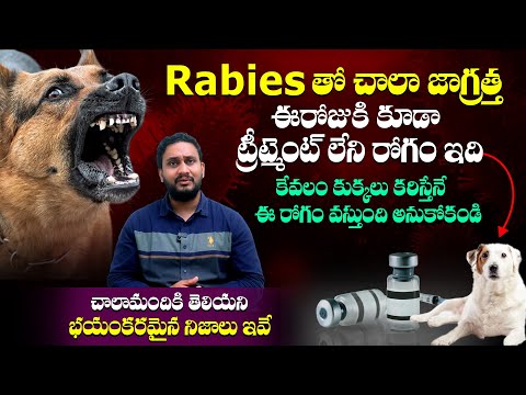 కుక్కలతోనే కాకుండా మిగతా జంతువులతో కూడా రేబిస్ ? - Unknown Facts About Rabies in Telugu || SMH