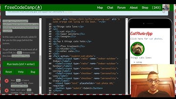 Use Responsive Design with Bootstrap Fluid Containers, freeCodeCamp Bootstrap review, lesson 1