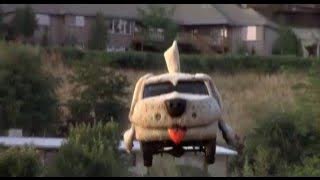 dumb and dumber dog car
