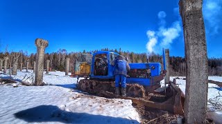 ПЕРВЫЙ ЗАПУСК ДТ 75 ПОСЛЕ ЗИМЫ / ГРАНДИОЗНЫЕ ПЛАНЫ НА 2024 ГОД / ПРОБИЛИ ДОРОГУ на ферму