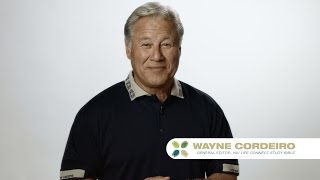 Niv Lifeconnect Study Bible  Dr Wayne Cordeiro