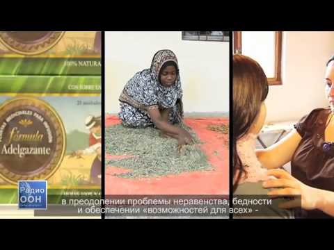 ООН в Женеве