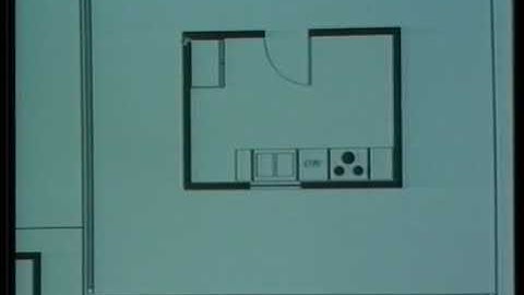 JANUS: Basic Concepts and Sample Run