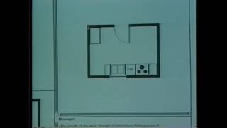 JANUS: Basic Concepts and Sample Run Net Worth