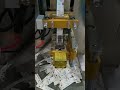 protein powder packaging machine powder filling machine sachet bag #packingmachine #packing #sachet
