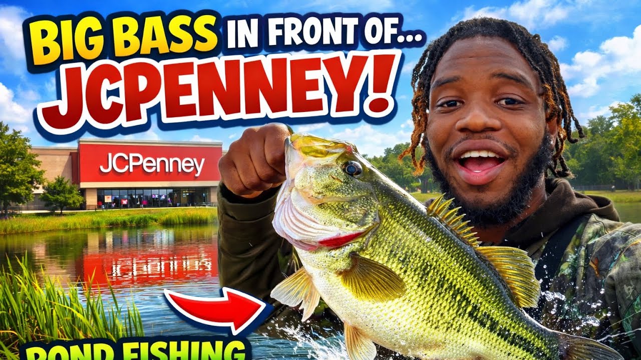 Can We Catch A Big Bass At JCPenny ?