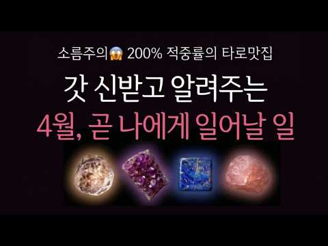 타로 모음 표지 1