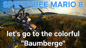 FPV Drone Long Range Flight - SPEEDYBEE MARIO 8 - GoPro Hero 11 Mini - this is balm for the soul 🌬️🦅