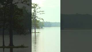 Body recovered during search and rescue operation at Flint Creek, police say