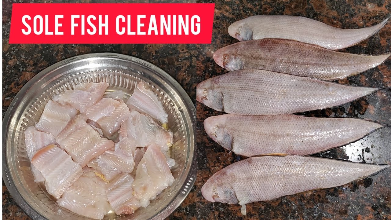 Sole Fish Cleaning Tutorial 🐟🔪 Step-by-Step Guide