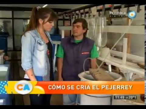 Preview de Estación hidrobiológica en Chascomús