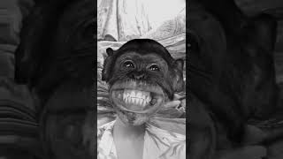 8k subscriber view 2 lakh